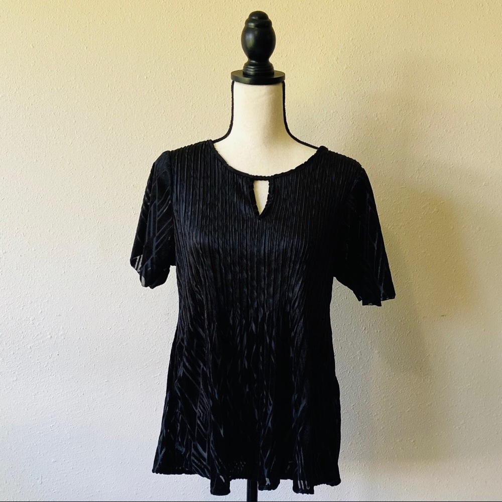 Black Velvet Petite Blouse Size: PXL